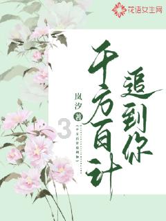 谁言寸草心后面下一句游戏画面